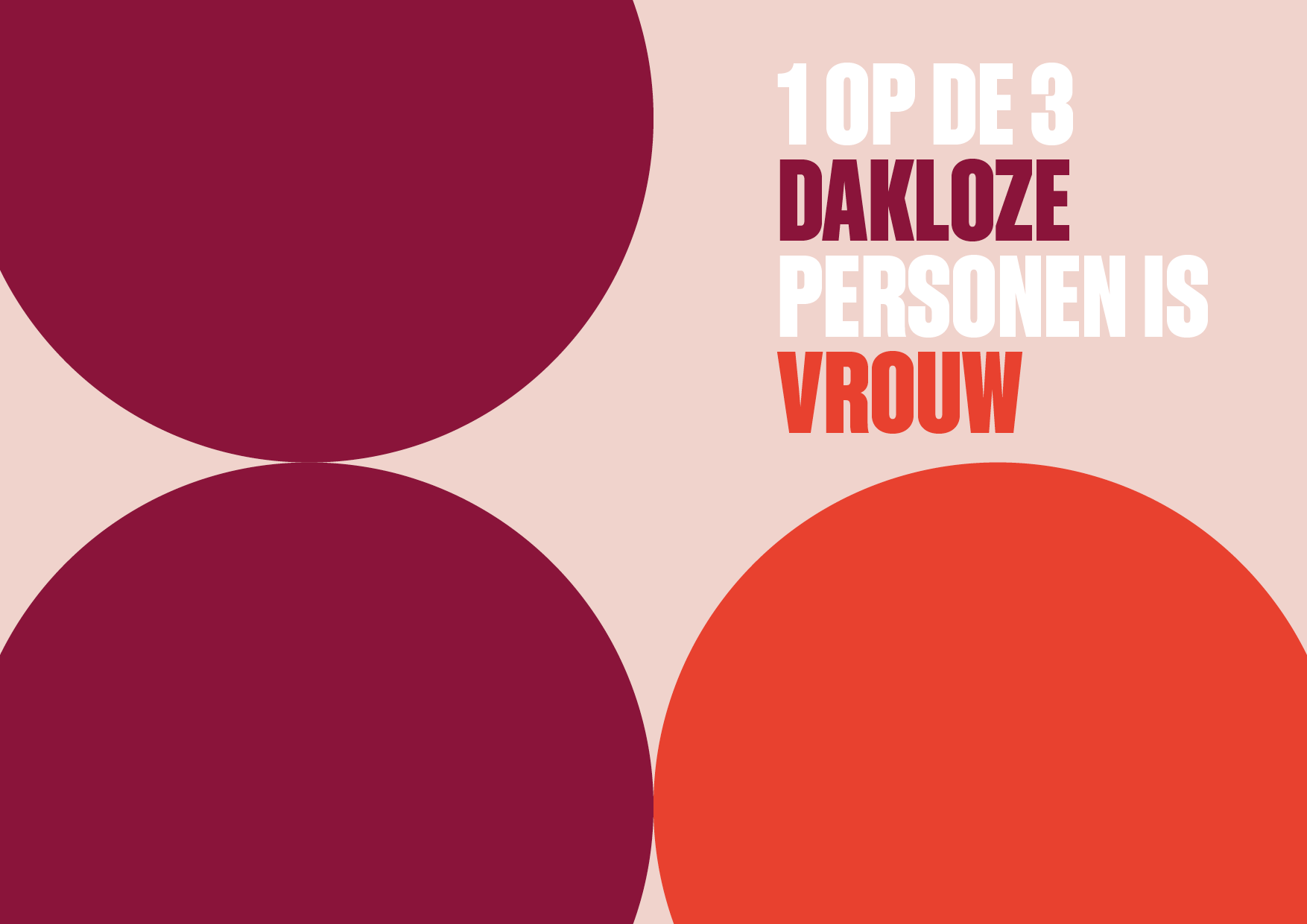 dakloos web