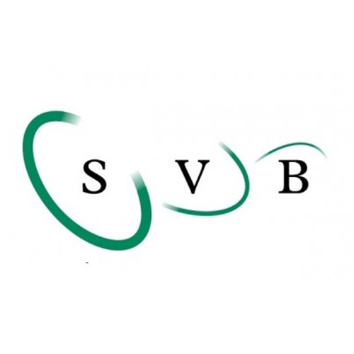 svb logo